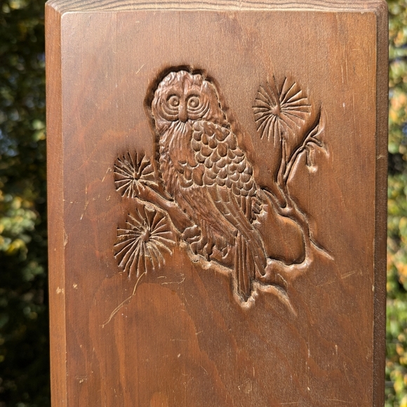 🍁 Vintage Owl Wooden Goblincore Cottage core Wall Plaque 🍁 - Picture 2 of 11